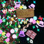Wonka Fun - ✨️90