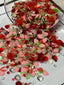 Strawberry Fields - ✨️22