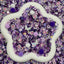 Cute Kuku - ✨️200