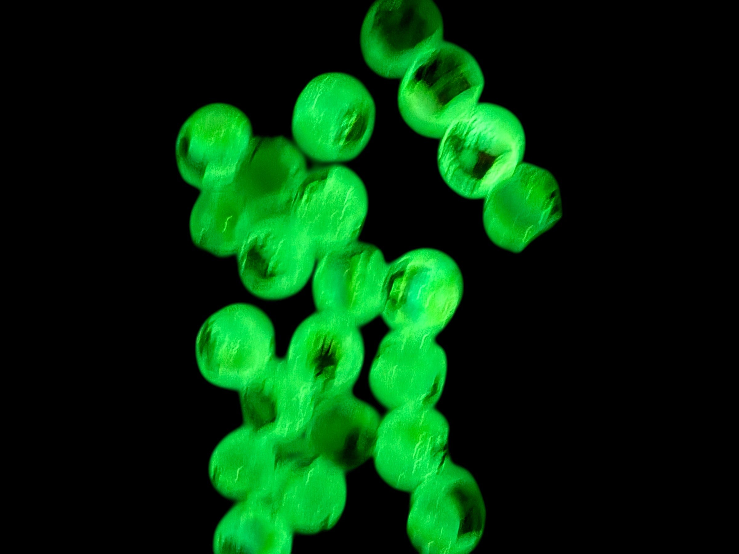 16mm Glow In the Dark Christmas Beads Mix Secondary image