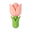 3DTulip Flower Focal