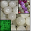 8mm UV Colorchanging Luminous Beads Mix