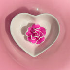 Big Rose Flower