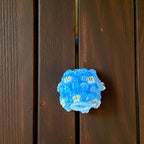 16mm Flower and Bees  Beads