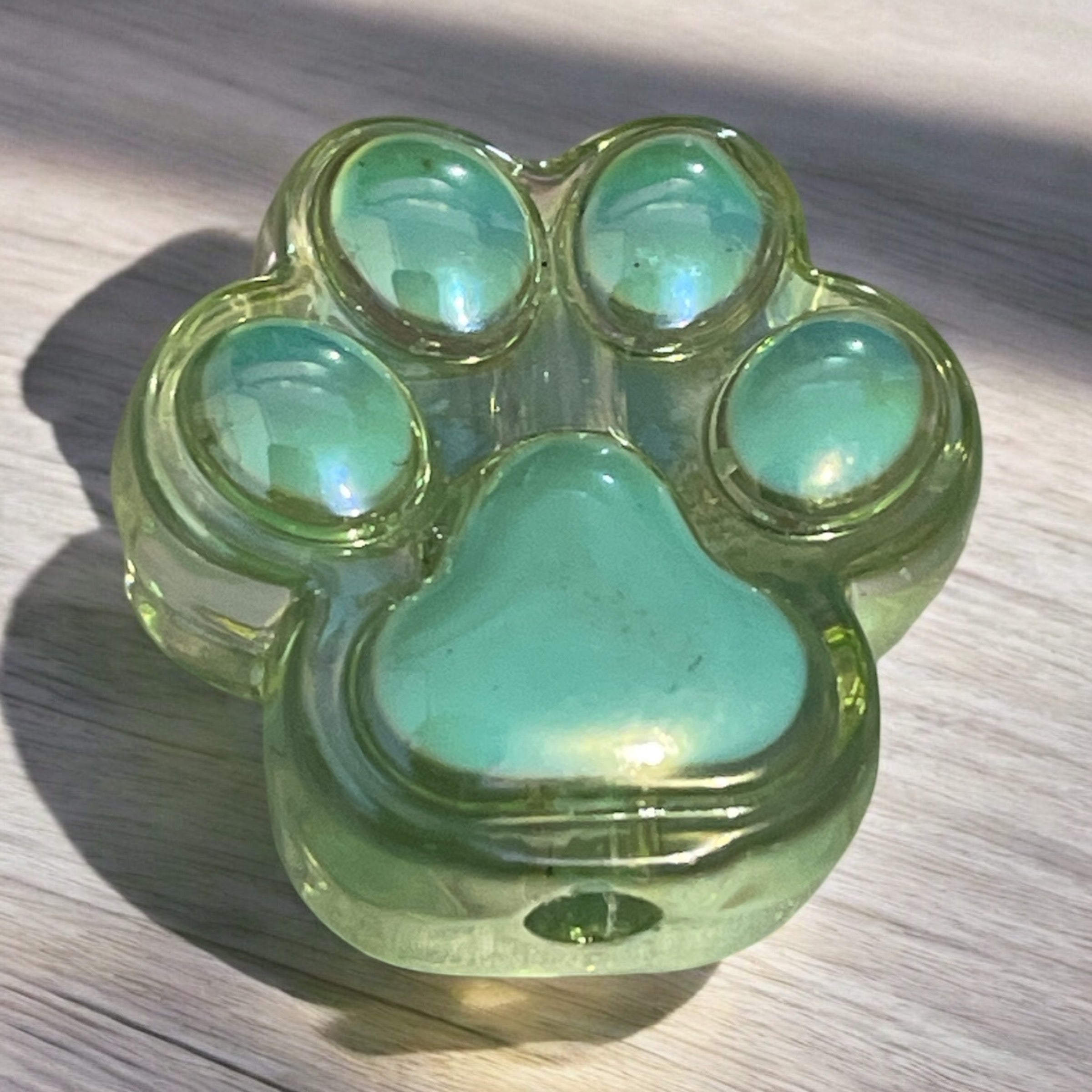 Paw Focal Beads