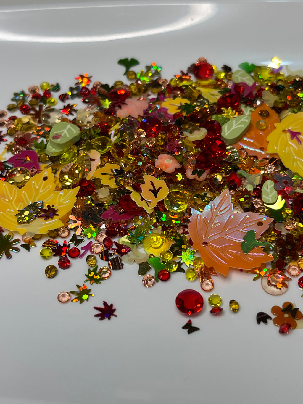 Colors of Fall - ✨️7