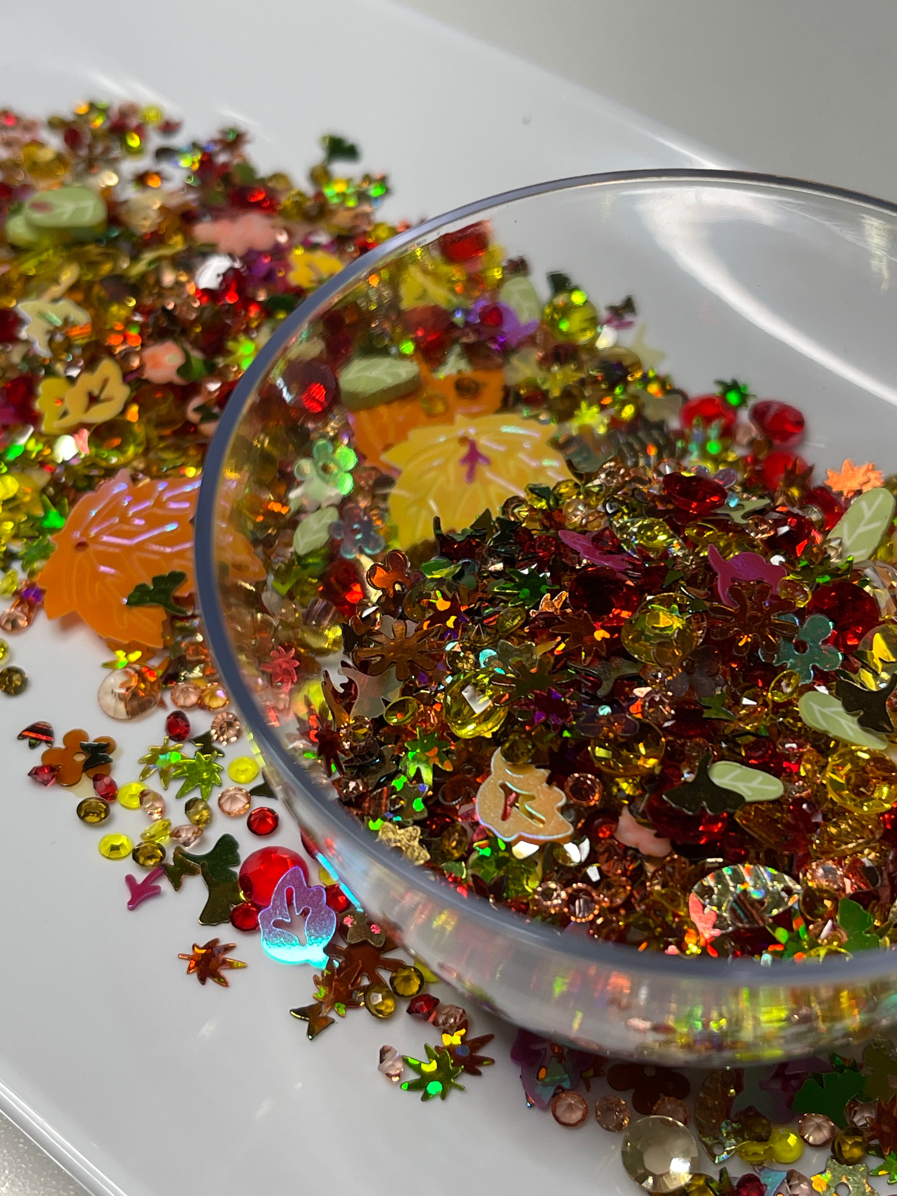 Colors of Fall - ✨️7