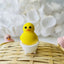 Silicone Rubber Ducky Yellow